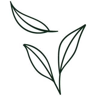 leaf_icon
